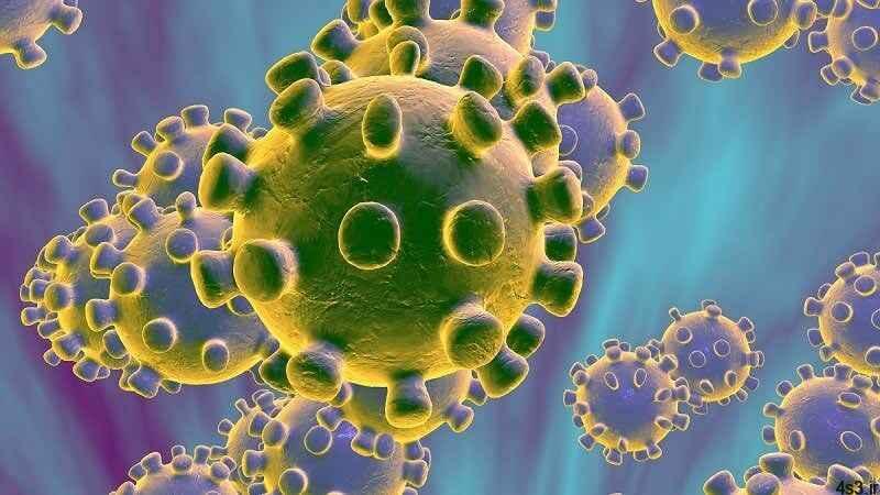 خبرهای پزشکی : ویروس کرونا در آب از بین می‌رود؟