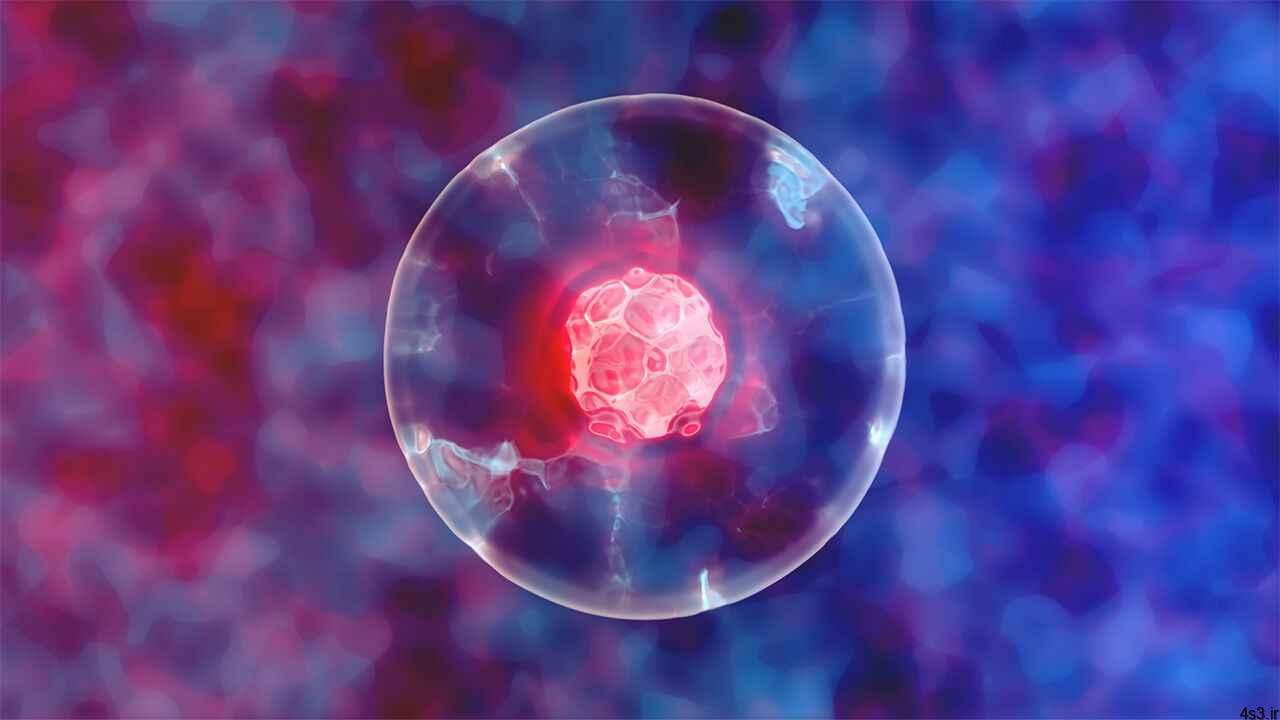 خبرهای پزشکی : پایداری سلول‌های زنده تا دو هفته با استفاده از نانو ذرات