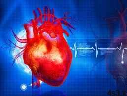 چهار راه‌کار جالب برای پیشگیری از حمله قلبی سایت 4s3.ir