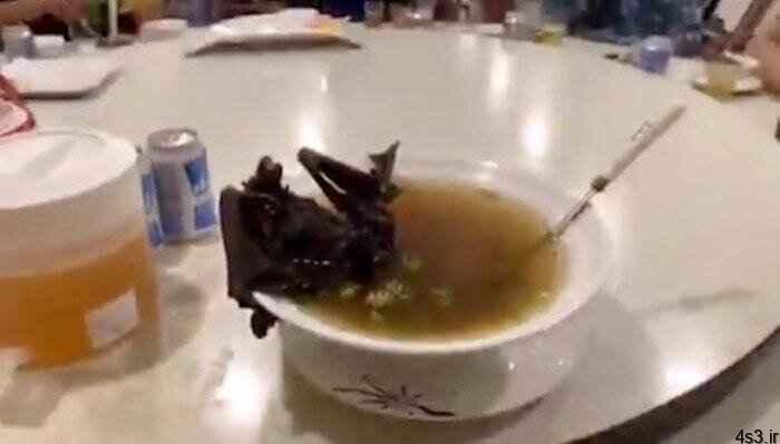 خبرهای پزشکی : چین: ۲۵ نفر در اثر ابتلا به ویروس کرونا جان باختند/ تصویر سوپ خفاش، عامل شیوع کرونا