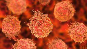 خبرهای پزشکی : کارآزمایی بالینی روی نانوذراتی که بافت تومور را می‌سوزانند سایت 4s3.ir