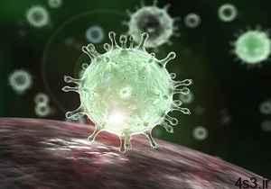خبرهای پزشکی : کرونا ویروس با فریز کردن مواد غذایی از بین نمی‌رود سایت 4s3.ir