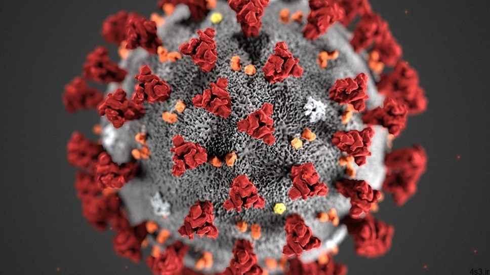 خبرهای پزشکی : کرونا ویروس زیر میکروسکوپ