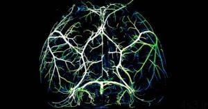 خبرهای پزشکی : کشف مکانیسم مؤثر در مغز برای مبارزه با آلزایمر سایت 4s3.ir