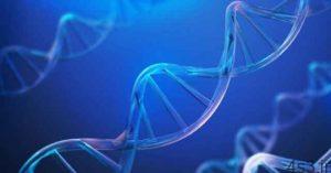 خبرهای پزشکی : کشف پروتئینی جدید برای مقابله با پیری و سرطان سایت 4s3.ir