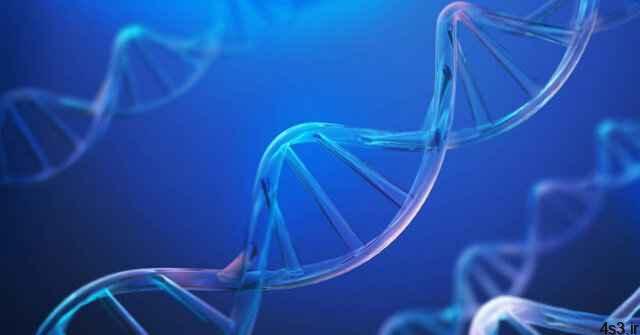 خبرهای پزشکی : کشف پروتئینی جدید برای مقابله با پیری و سرطان