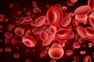 خبرهای پزشکی : گلبول های قرمز ابر انسانی ساخته شدند سایت 4s3.ir