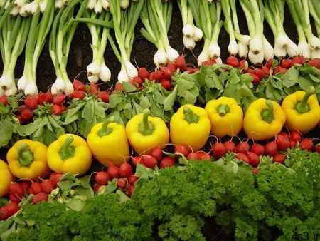 آیامراحل شستشوی سبزیجات را میدانید؟