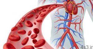 افزایش جریان خون با مصرف منظم 11 ماده غذایی سایت 4s3.ir