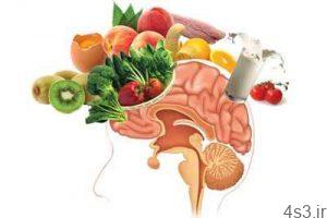 با مصرف روزانه 9 ماده غذایی سالم، سکته مغزی را از خود دور کنید سایت 4s3.ir