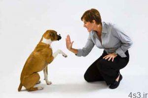 تربیت سگ و کلیدی ترین نکات و آموزش های لازم سایت 4s3.ir