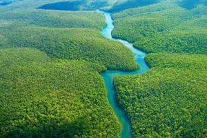 جنگل آمازون، یکی از عجایب هفتگانه جدید جهان (+تصاویر) سایت 4s3.ir