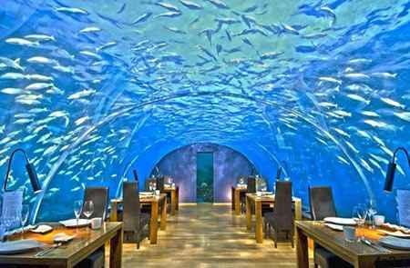 رستوران های مجلل زیر آب (+تصاویر)
