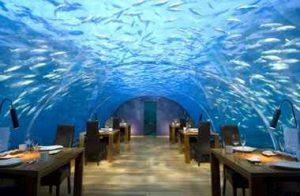 رستورانی زیر آبیِ ایتها در مالدیو (+تصاویر) سایت 4s3.ir
