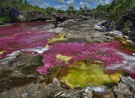 رودخانه ۵ رنگ در کلمبیا + تصاویر