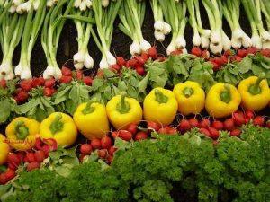 سبزیجات را چگونه بپزیم که خواص آن حفط شود؟ سایت 4s3.ir