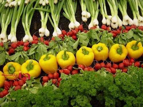 سبزیجات را چگونه بپزیم که خواص آن حفط شود؟