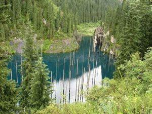 عجیب ترین دریاچه دنیا با درختانی وارونه سایت 4s3.ir