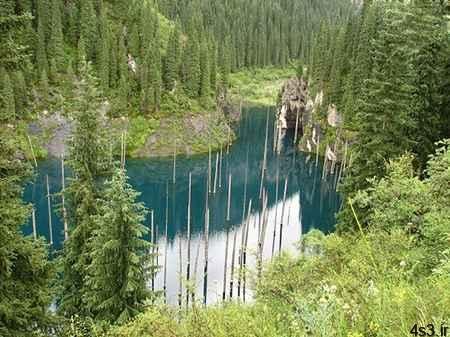 عجیب ترین دریاچه دنیا با درختانی وارونه
