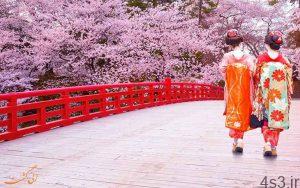 فصل شکوفه های گیلاس در ژاپن (+عکس) سایت 4s3.ir