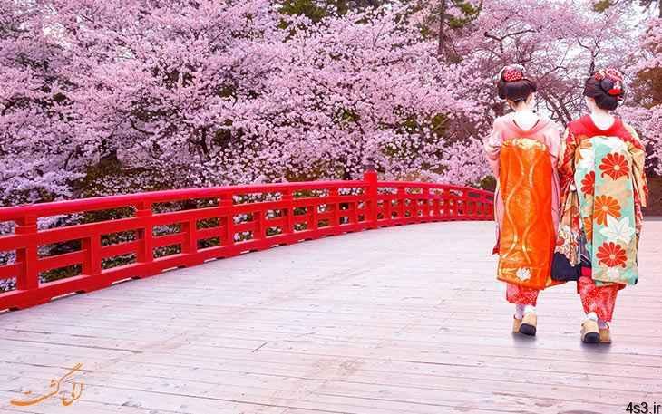 فصل شکوفه های گیلاس در ژاپن (+عکس)
