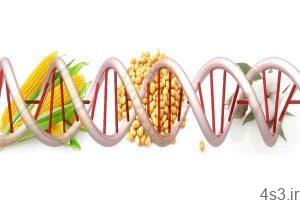 مزایا و معایب غذاهای اصلاح شده ژنتیکی سایت 4s3.ir