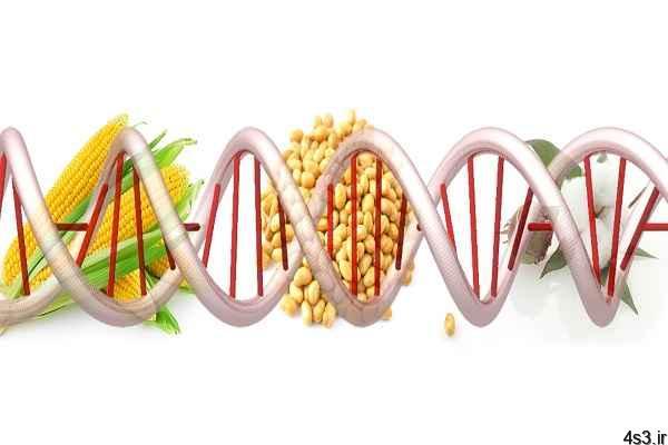 مزایا و معایب غذاهای اصلاح شده ژنتیکی