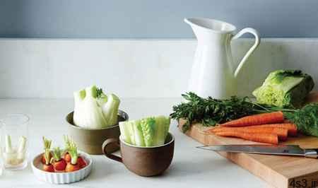نحوه کاشت ته مانده سبزیجات در خانه