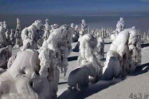 تصاویری از جنگل یخ زده در فنلاند معروف به زادگاه بابانوئل سایت 4s3.ir
