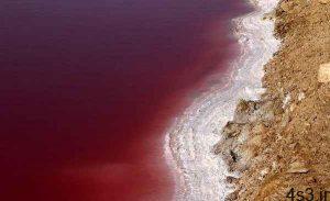 دریاچه نمک قم برای اولین بار سرخ شد سایت 4s3.ir