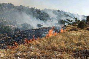 عاملان آتش‌سوزی کوه خائیز دستگیر شدند/ ۴۰ هکتار جنگل و مرتع در آتش سوخت سایت 4s3.ir
