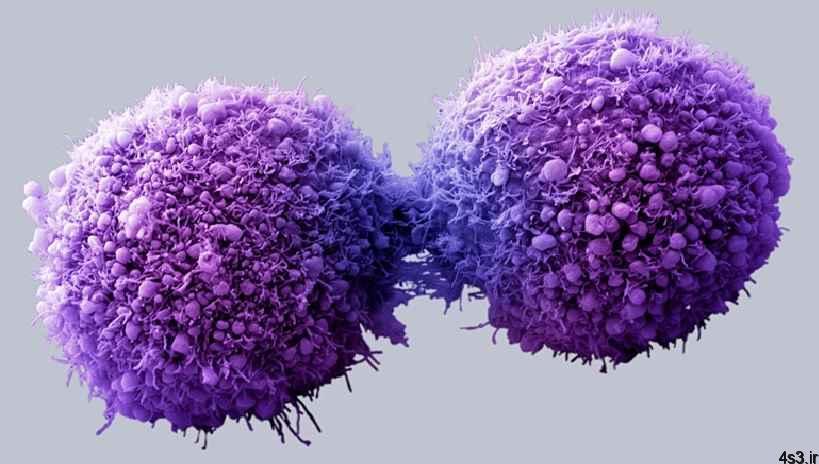 قدم هایی بزرگ برای درمان تمام سرطان ها