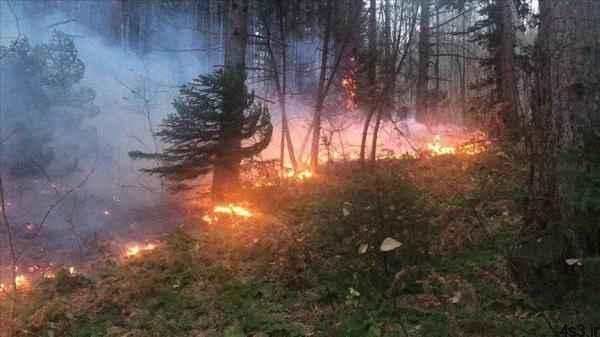 هشدار درباره احتمال آتش سوزی در جنگل‌های شمال ایران
