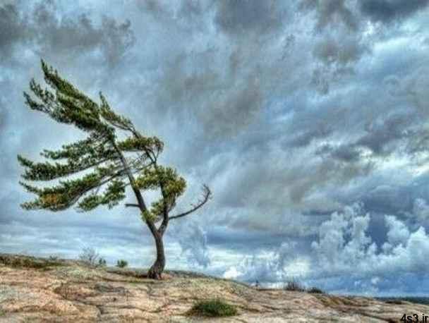 وزش باد شدید در ۹ استان کشور