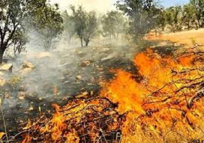 ۳۰۰ هکتار از جنگل ها و مراتع گچساران در آتش سوخت/ مهار ۹۵درصدی آتش سوزی