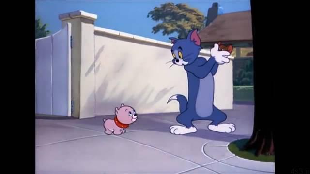 انیمیشن تام و جری این داستان آموزش پارس کردن به توله سگ