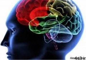 بارگزاری اطلاعات روی مغز انسان توسط شرکت الون ماسک سایت 4s3.ir