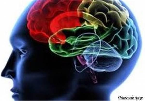 بارگزاری اطلاعات روی مغز انسان توسط شرکت الون ماسک