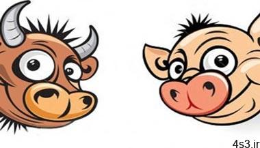 داستان جالب «خوک و گاو»