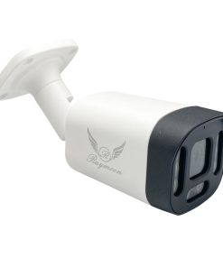 دوربین مداربسته تحت شبکه رایمون مدل RB-5MP-8313-IP