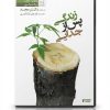 آموزش زندگی پس از جدایی و طلاق | شروع دوباره و مدیریت زندگی